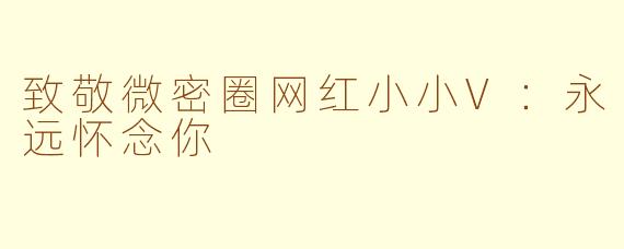 致敬微密圈网红小小V：永远怀念你