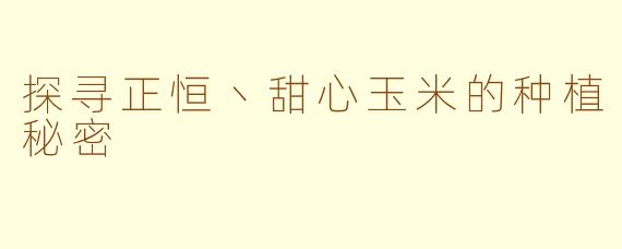 探寻正恒丶甜心玉米的种植秘密