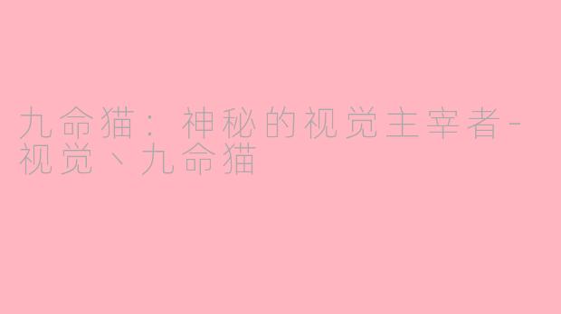 九命猫：神秘的视觉主宰者-视觉丶九命猫
