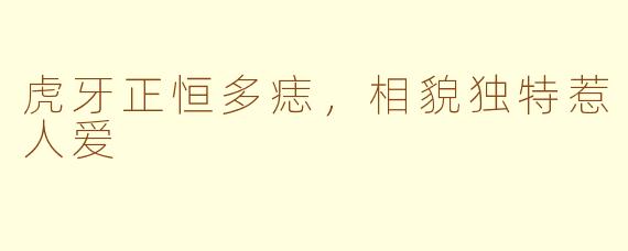 虎牙正恒多痣，相貌独特惹人爱
