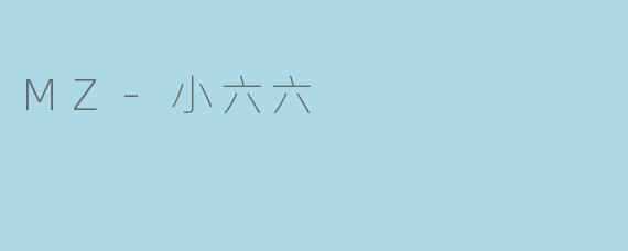 MZ-小六六