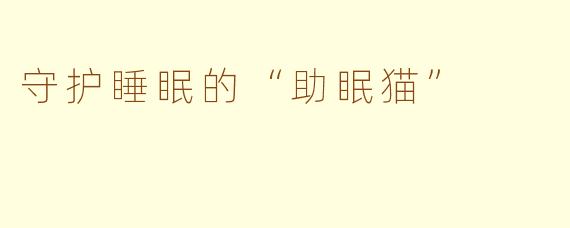 守护睡眠的“助眠猫”