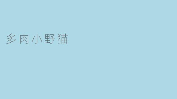 什么是多肉小野猫？