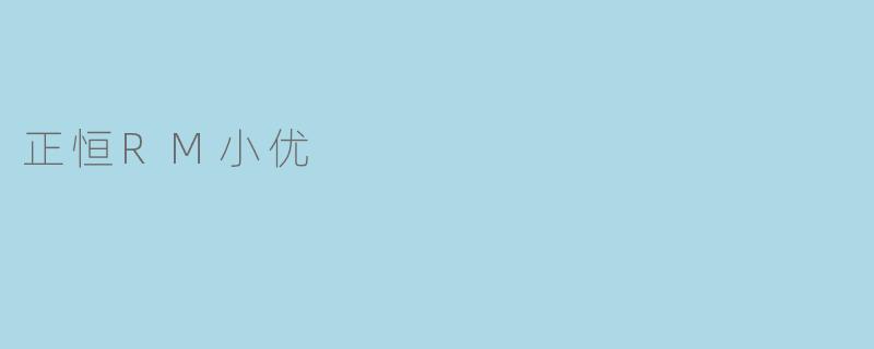 正恒RM小优