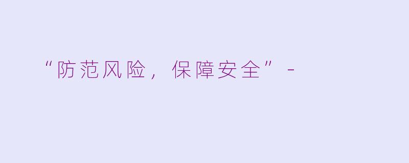  “防范风险，保障安全”-