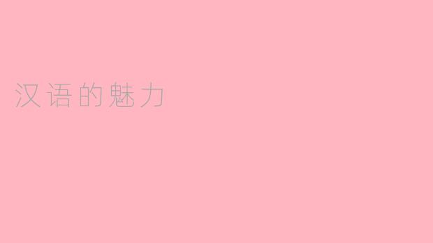 汉语的魅力