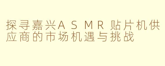 探寻嘉兴ASMR贴片机供应商的市场机遇与挑战