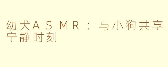 幼犬ASMR：与小狗共享宁静时刻