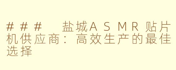 ### 盐城ASMR贴片机供应商：高效生产的最佳选择