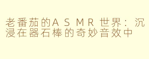 老番茄的ASMR世界：沉浸在器石棒的奇妙音效中