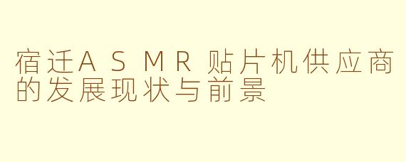 宿迁ASMR贴片机供应商的发展现状与前景