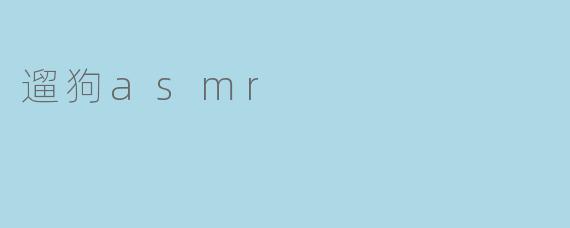 什么是遛狗ASMR?**