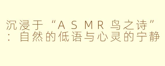 沉浸于“ASMR鸟之诗”：自然的低语与心灵的宁静