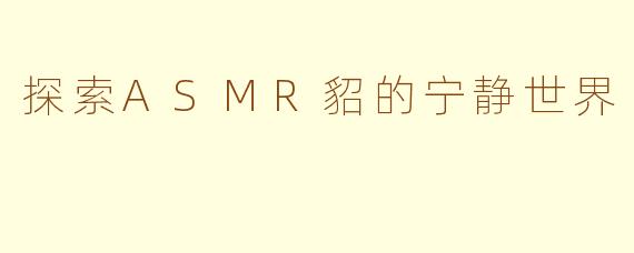 探索ASMR貂的宁静世界