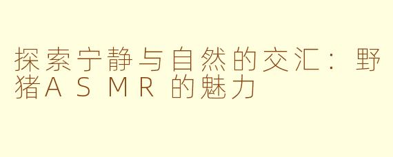 探索宁静与自然的交汇：野猪ASMR的魅力
