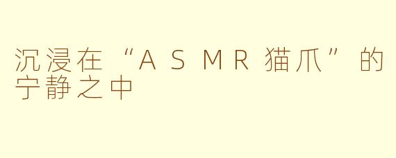 沉浸在“ASMR猫爪”的宁静之中