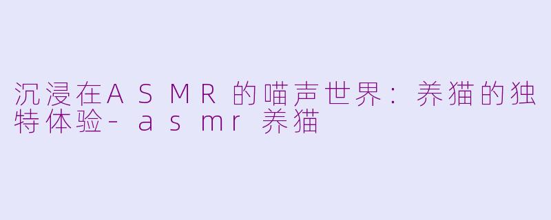 沉浸在ASMR的喵声世界：养猫的独特体验-asmr养猫