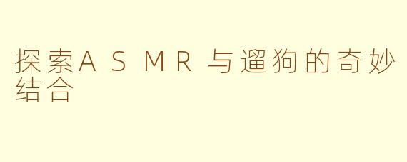 探索ASMR与遛狗的奇妙结合