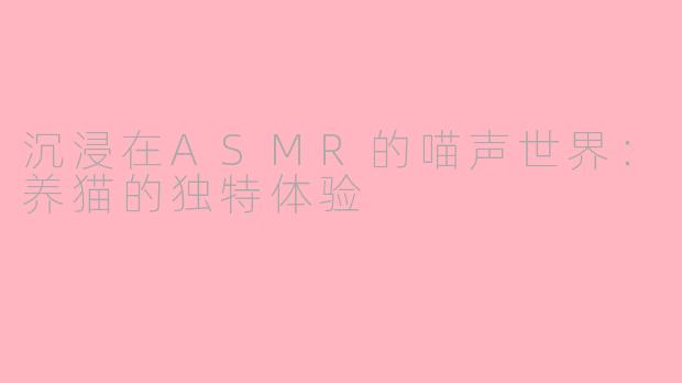沉浸在ASMR的喵声世界：养猫的独特体验