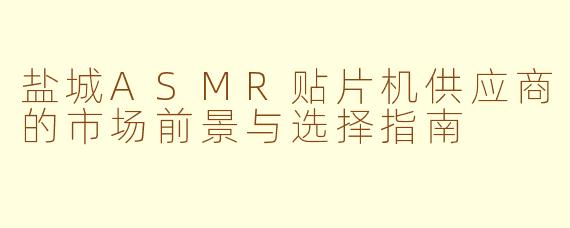 盐城ASMR贴片机供应商的市场前景与选择指南