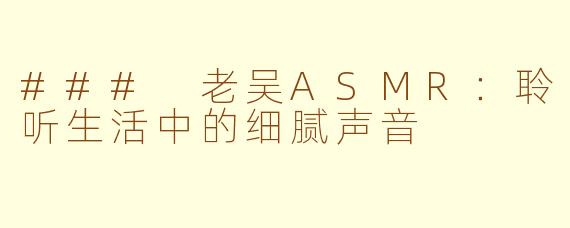 ### 老吴ASMR：聆听生活中的细腻声音