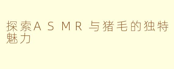 探索ASMR与猪毛的独特魅力
