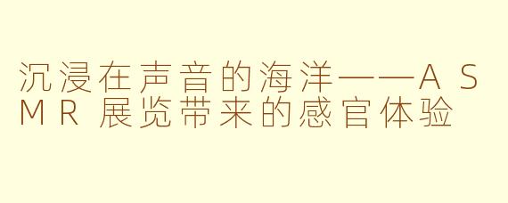 沉浸在声音的海洋——ASMR展览带来的感官体验