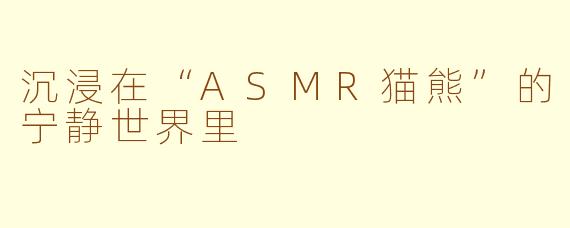 沉浸在“ASMR猫熊”的宁静世界里