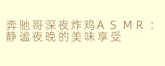 奔驰哥深夜炸鸡ASMR：静谧夜晚的美味享受
