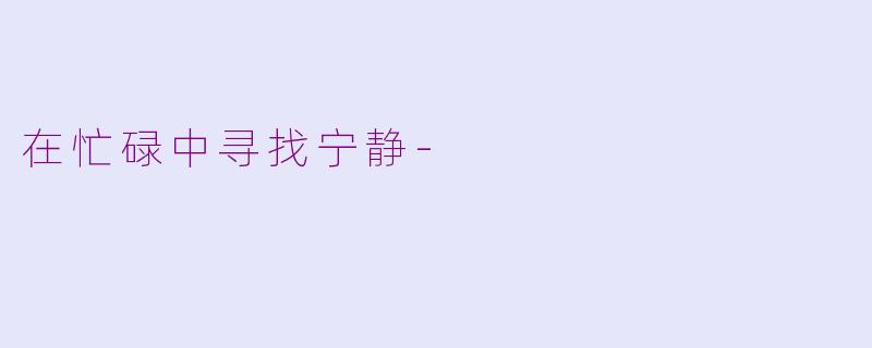 在忙碌中寻找宁静-