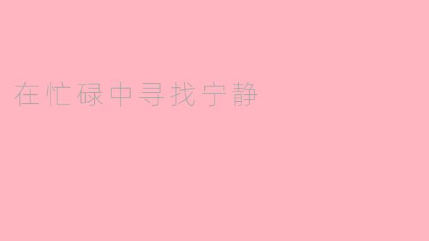 在忙碌中寻找宁静