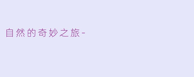自然的奇妙之旅