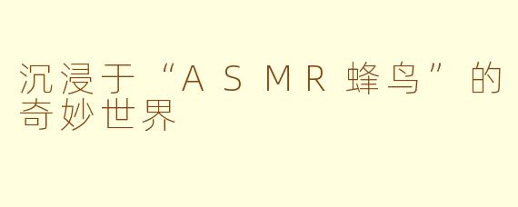 沉浸于“ASMR蜂鸟”的奇妙世界