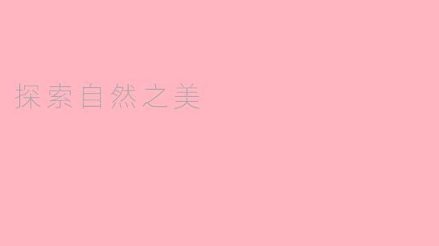 探索自然之美