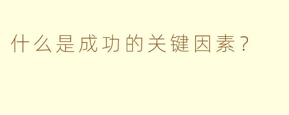 什么是成功的关键因素？  