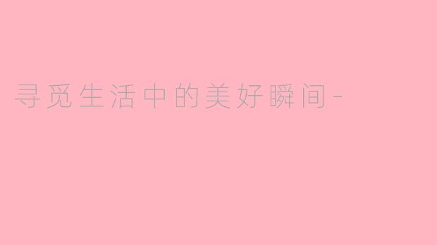 寻觅生活中的美好瞬间-