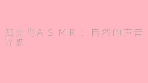 知更鸟ASMR：自然的声音疗愈