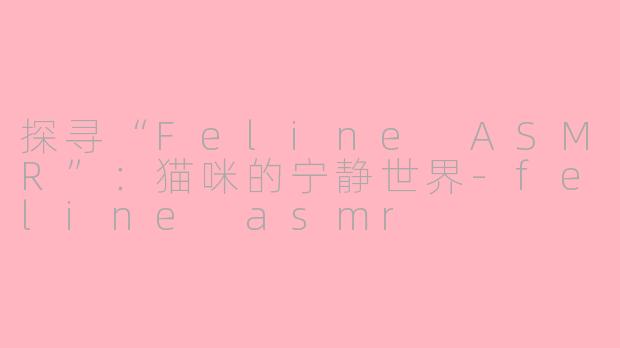 探寻“Feline ASMR”：猫咪的宁静世界-feline asmr