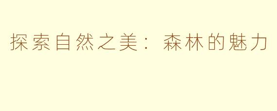探索自然之美：森林的魅力