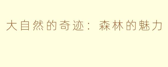 大自然的奇迹：森林的魅力
