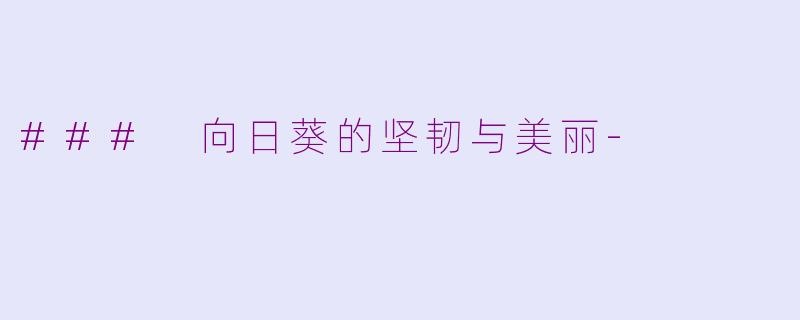 ### 向日葵的坚韧与美丽-