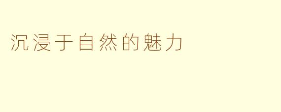 沉浸于自然的魅力