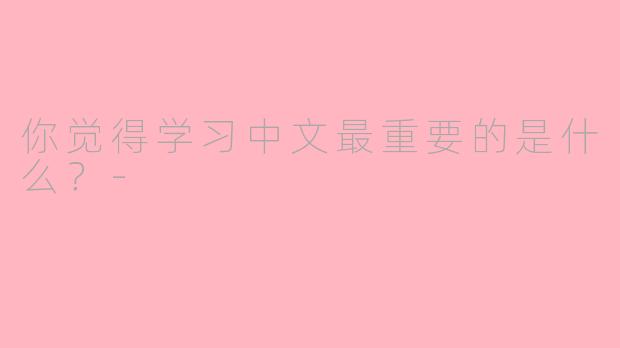你觉得学习中文最重要的是什么？