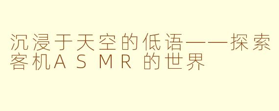 沉浸于天空的低语——探索客机ASMR的世界