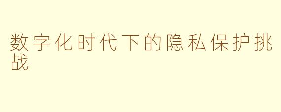 数字化时代下的隐私保护挑战
