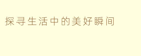 探寻生活中的美好瞬间