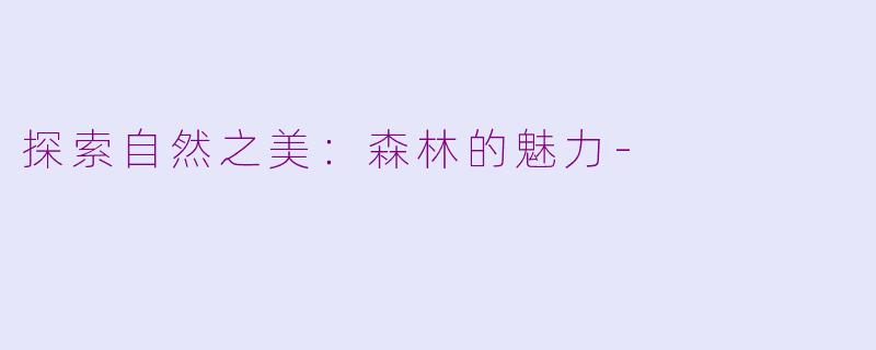 探索自然之美：森林的魅力-