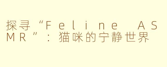 探寻“Feline ASMR”：猫咪的宁静世界