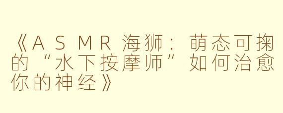 《ASMR海狮：萌态可掬的“水下按摩师”如何治愈你的神经》