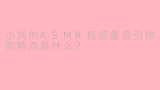 小刘的ASMR视频最吸引你的特点是什么?